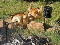 Grizzly Spit Cooking Chicken Over Fire
